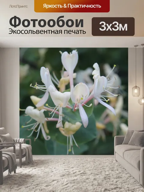Фотообои Цветки