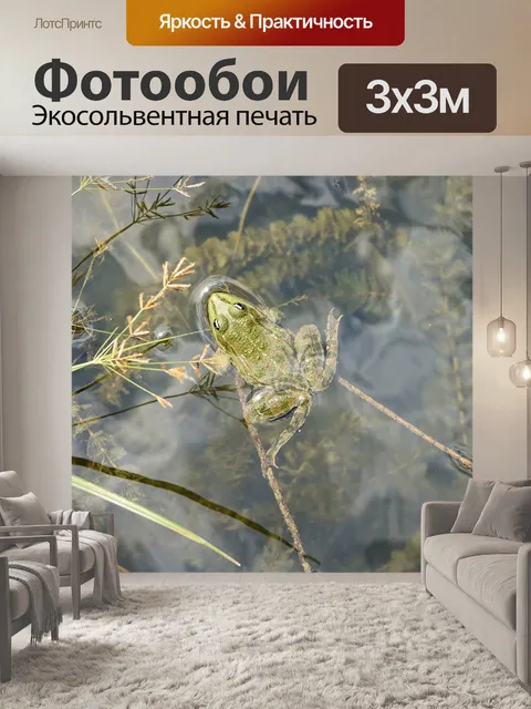 Фотообои Лягушка
