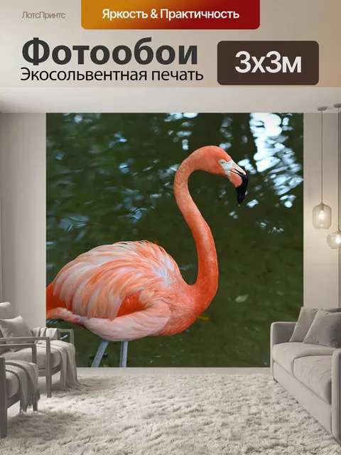 Фотообои Фламинго