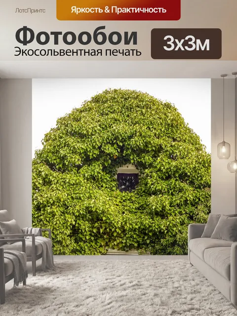 Фотообои Окно