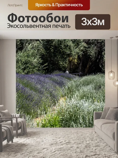 Фотообои Лавандовое поле