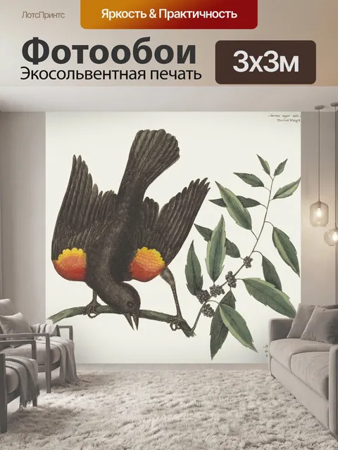 Фотообои Винтажное Искусство Птицы Скворец