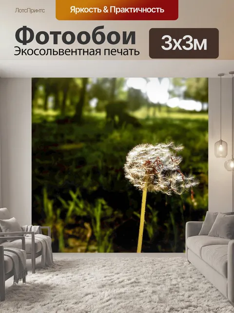 Фотообои Одуванчик