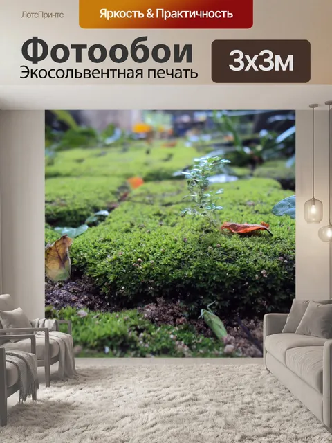 Фотообои Маленький зеленый Растения