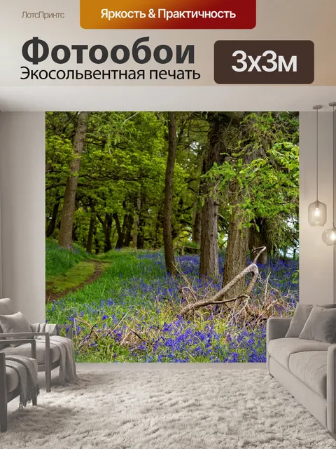 Фотообои Зеленый лес