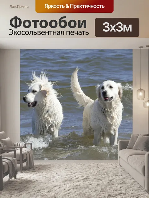 Фотообои Золотистый ретривер
