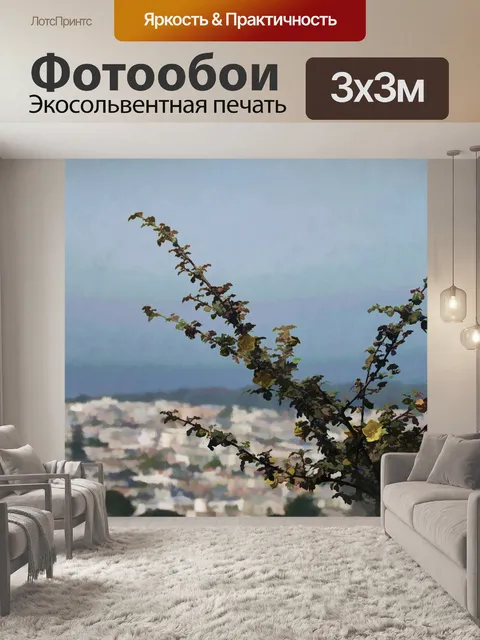 Фотообои Филиал и Сан-Франциско
