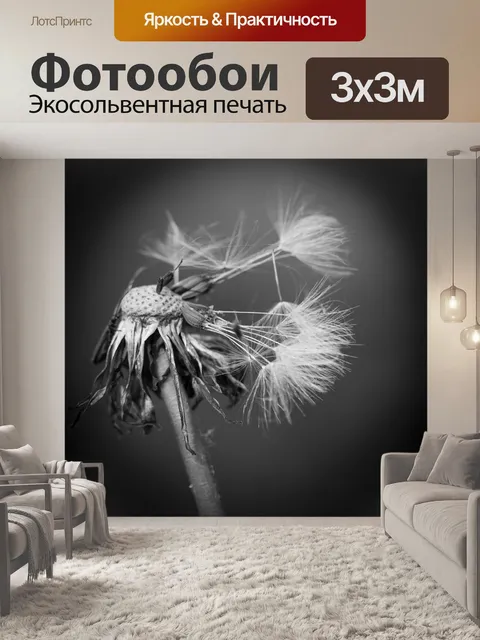 Фотообои Одуванчик