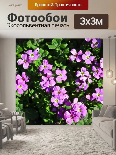 Фотообои Цветы
