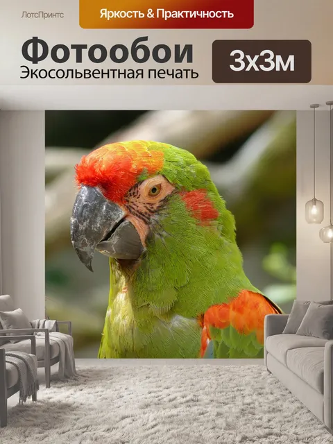 Фотообои Птица