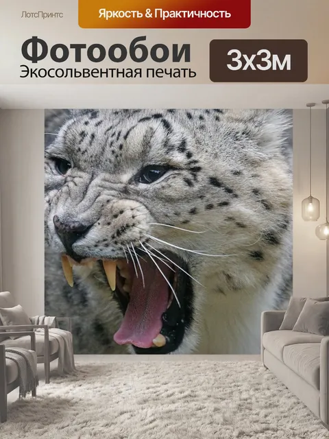 Фотообои Снежный барс