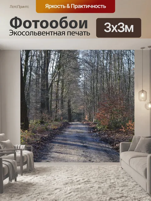 Фотообои Лесная тропа