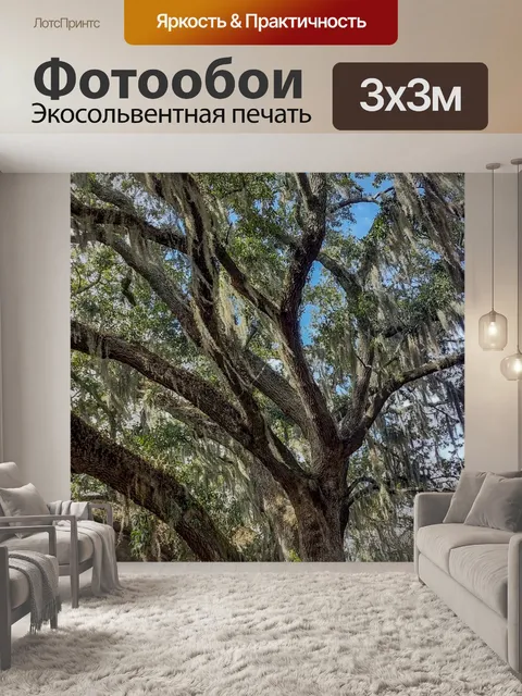 Фотообои Испанский мох