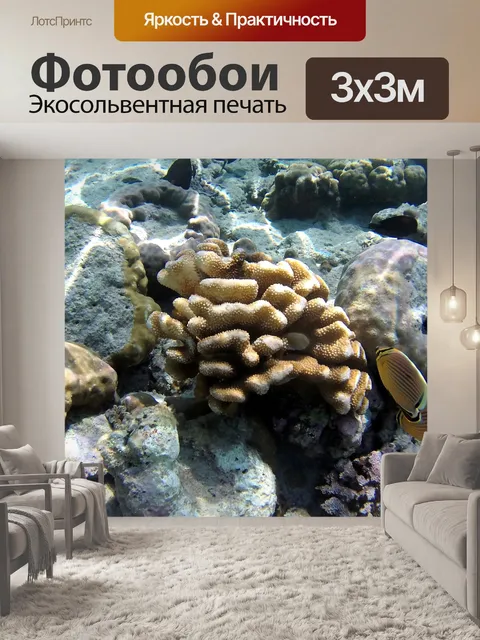 Фотообои Коралл