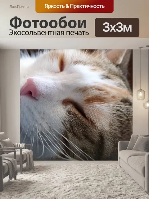 Фотообои Кошка