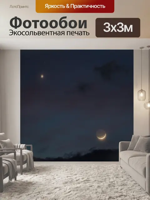 Фотообои Венера