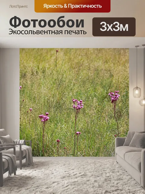Фотообои розовые помпоны вторгаются в луг