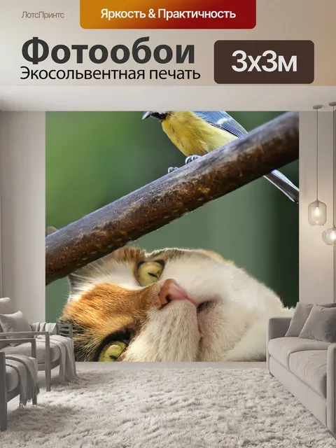 Фотообои Охотиться