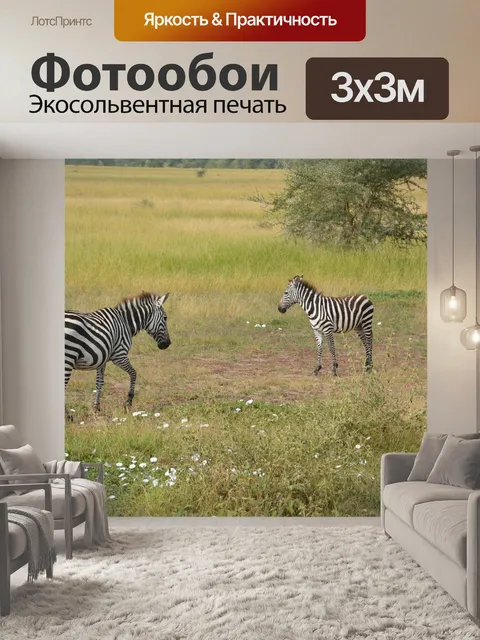 Фотообои Зебра