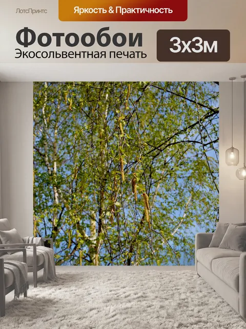 Фотообои Березовые сережки