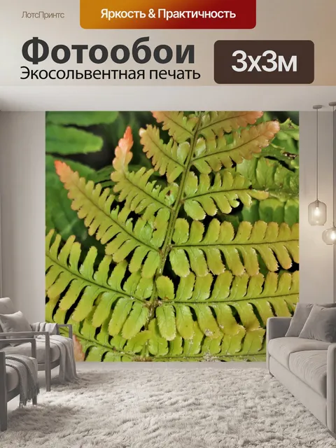Фотообои Зеленый папоротник крупным планом фон