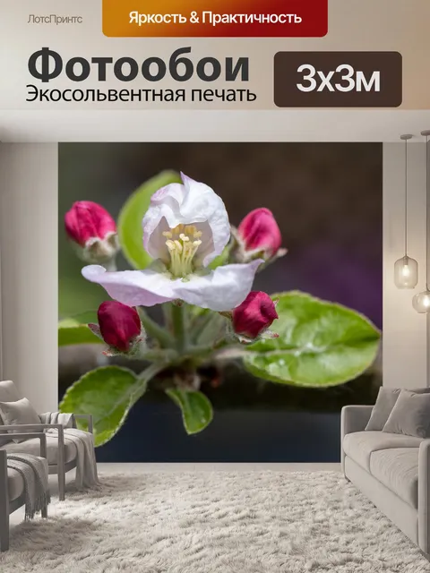 Фотообои Яблоневый цвет