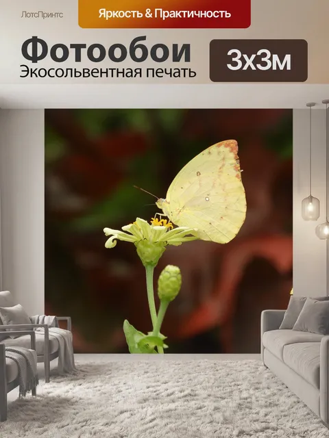 Фотообои Бабочка