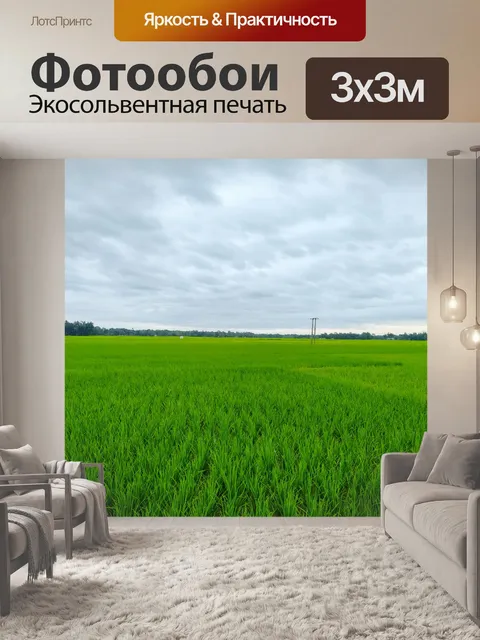 Фотообои Небо