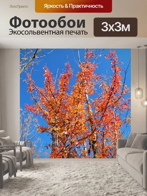 Фотообои Оранжевые листья