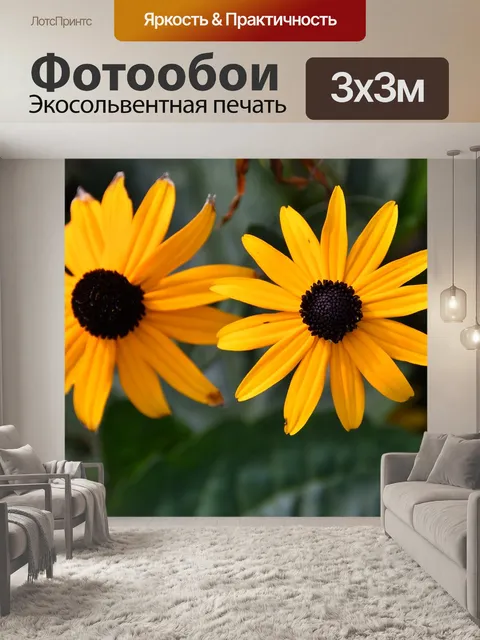 Фотообои Рудбекия