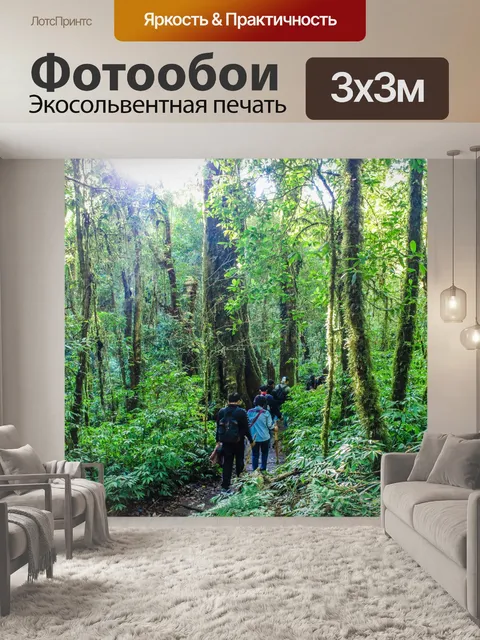 Фотообои Тропический лес в Дои Интанон, Чиангмай