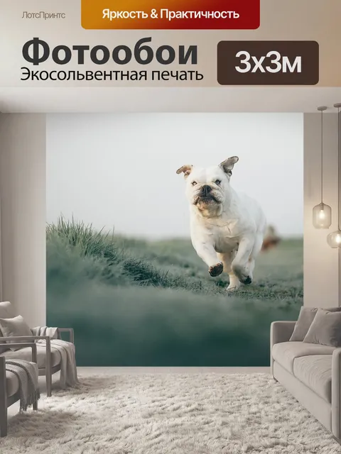 Фотообои Собака