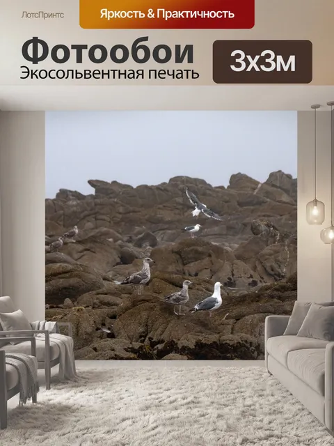 Фотообои Колокольня Чайки на скалах