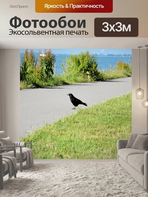 Фотообои Птицы