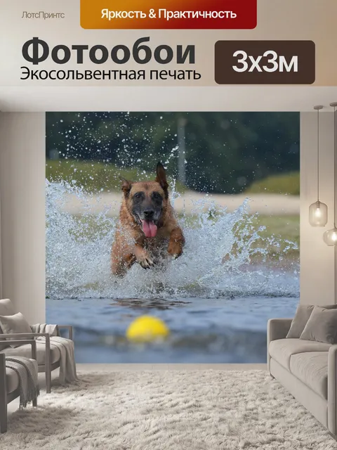 Фотообои Малинуа