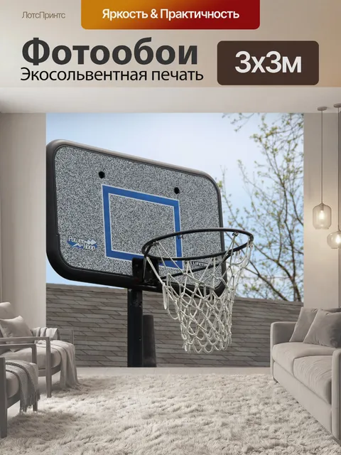 Фотообои Баскетбол нетто