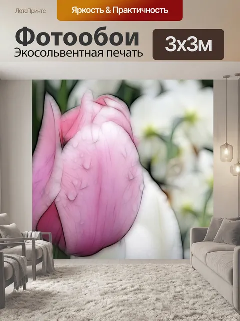 Фотообои Роза Тюльпан с каплями дождя