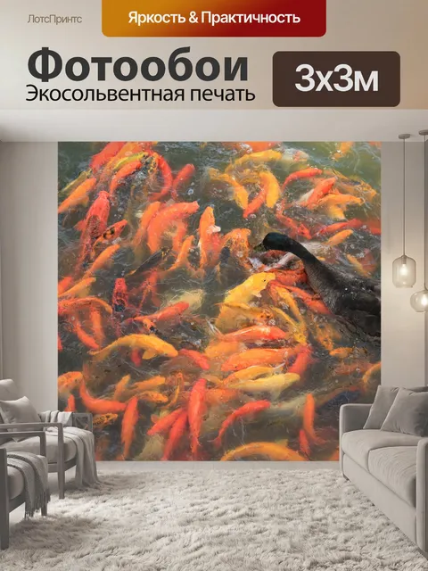 Фотообои Koi рыбы