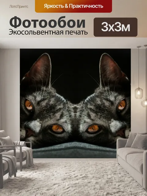 Фотообои Кошка