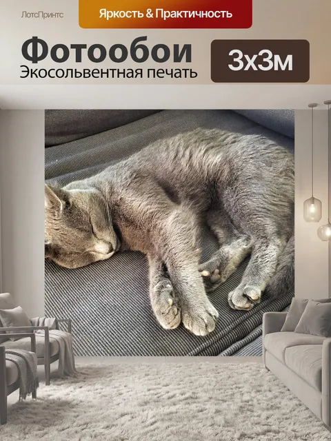Фотообои Кот