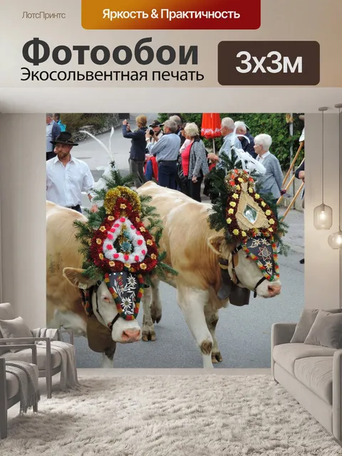 Фотообои Альпийский драйв