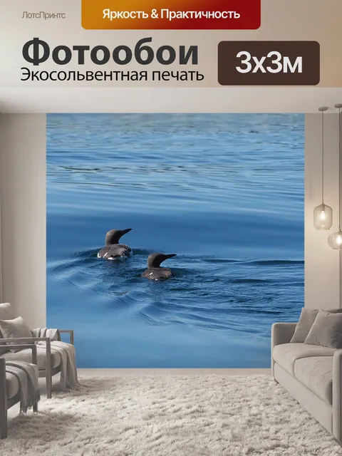 Фотообои Кайра