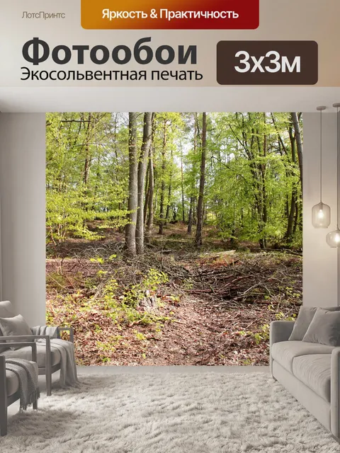 Фотообои Фон
