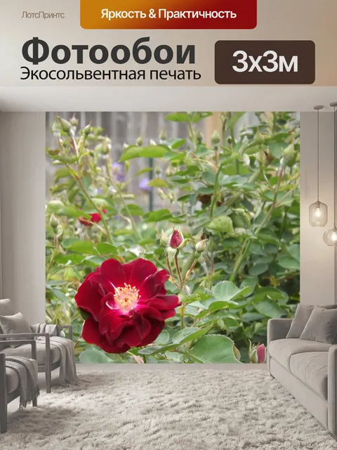 Фотообои Подарочные розы