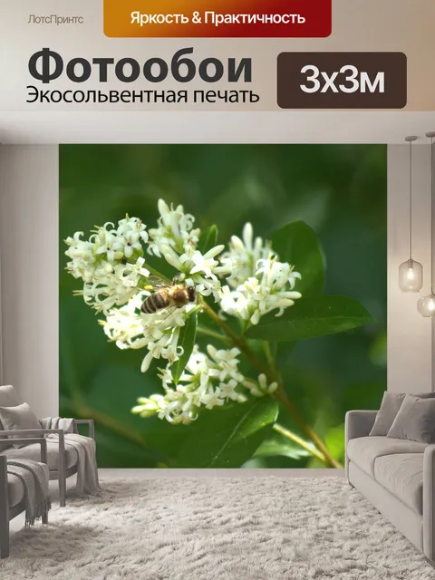 Фотообои Цветок