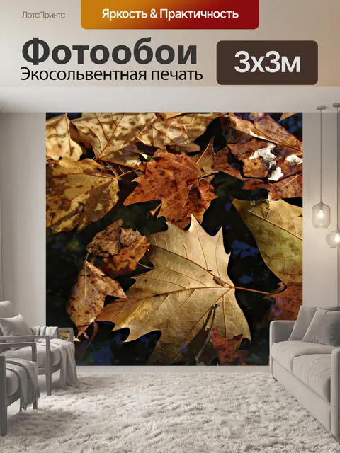 Фотообои Листы