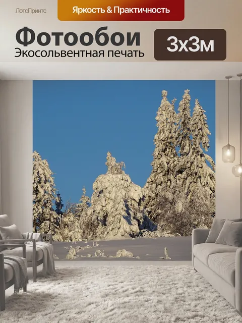Фотообои Зима