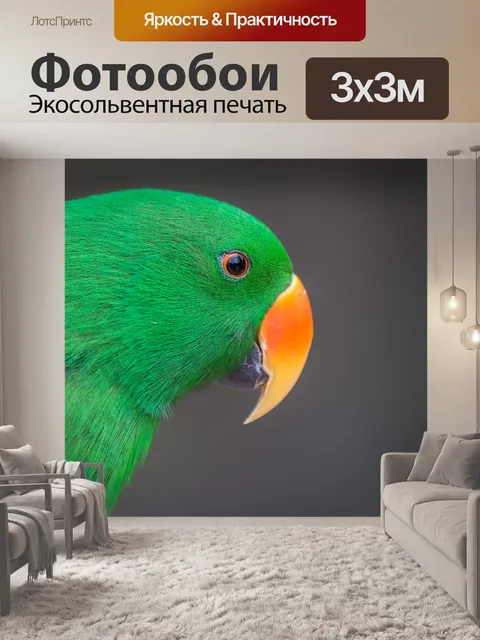 Фотообои Зеленый