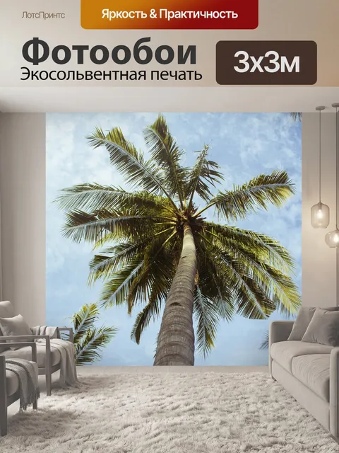 Фотообои Пальмы