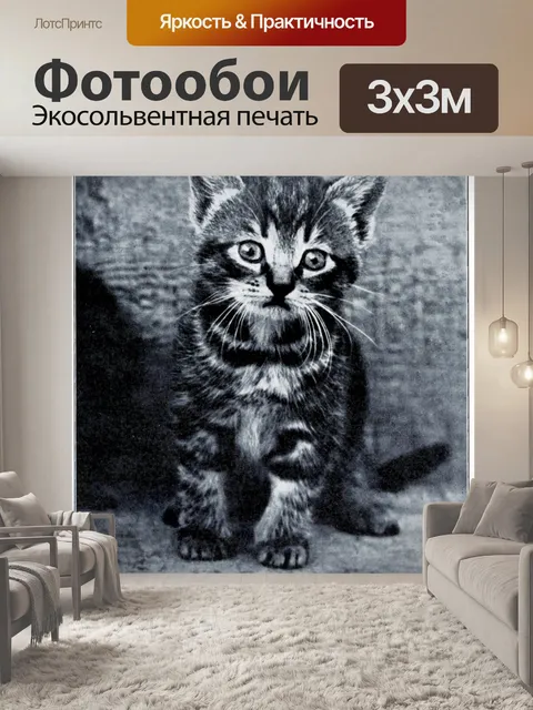 Фотообои Кошка котенок старинное фото